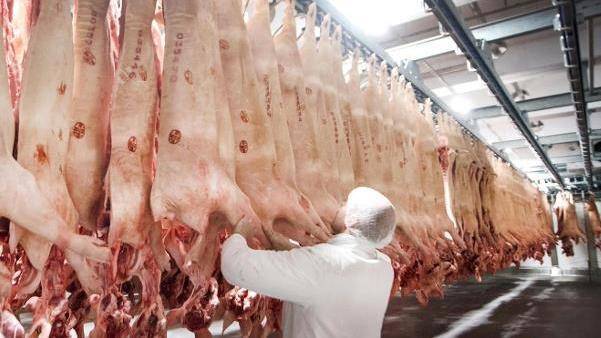 德国最大肉类加工厂聚集性感染已升至657人